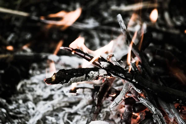 Embers of a burnt-out fire. A fire in the woods, barbecue.