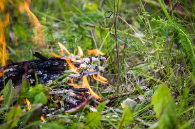 Yeşil çim yangında. Ormanda bir yangın. Doğa mangalda, piknik.