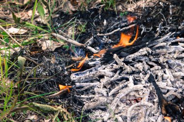 Yeşil çim yangında. Ormanda bir yangın. Doğa mangalda, piknik.
