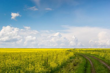 Kırsal toprak yol bulutlar ile mavi gökyüzü altında