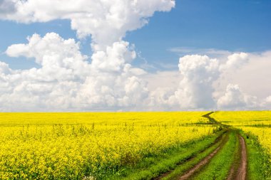 Kırsal toprak yol bulutlar ile mavi gökyüzü altında