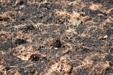 Arka plan bahar sürülmüş toprak