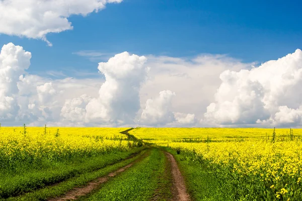Kırsal toprak yol bulutlar ile mavi gökyüzü altında