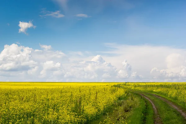 Kırsal toprak yol bulutlar ile mavi gökyüzü altında