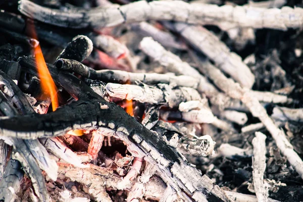 Embers of a burnt-out fire. A fire in the woods, barbecue.