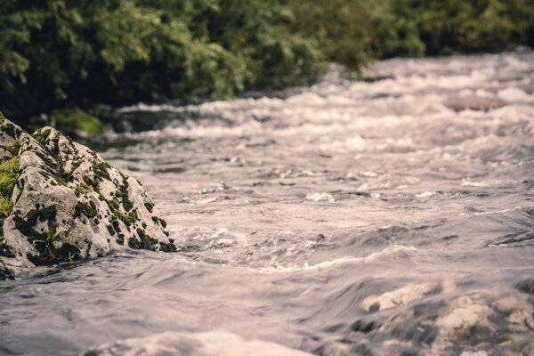 Mountain river with green plants on the shore