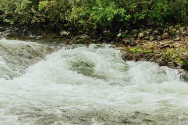Dağ nehir kıyısında yeşil bitkiler ile
