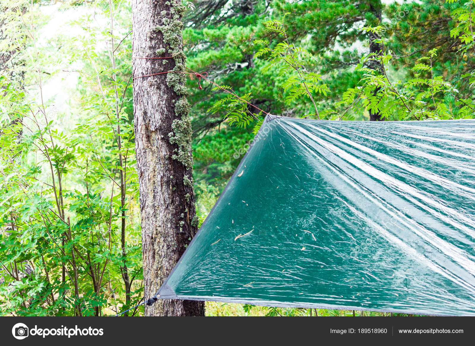 Wet Tent Green Tents Pine Forest Rain — Stock Photo © Avdeev_80 189518960