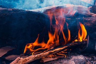 Ormanda büyük orman yangını yakar