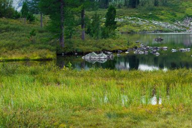 Güzel dağ gölü kayalık yaz gün