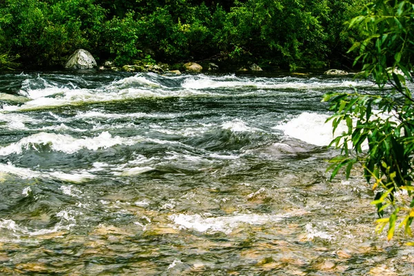 Γρήγορη Ορεινό Ποτάμι Ταχεία Ροή Μέσα Στο Καταπράσινο Δάσος — Φωτογραφία Αρχείου