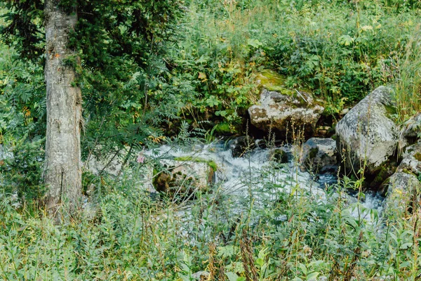 Schneller Gebirgsfluss Rasantem Fluss Grünen Wald — Stockfoto