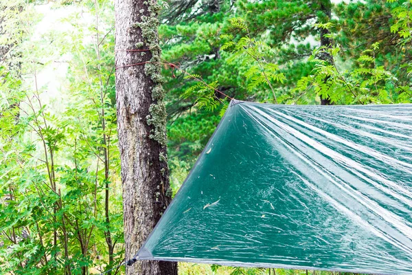 Мокрые Палатки Зеленые Сосновом Лесу Дождем — стоковое фото