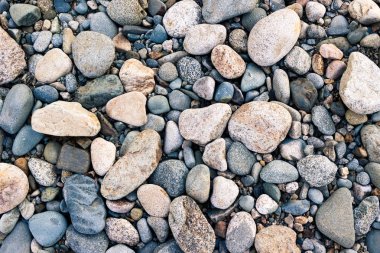 Taşları, çakıl ve kum bir dağ nehir kıyısında