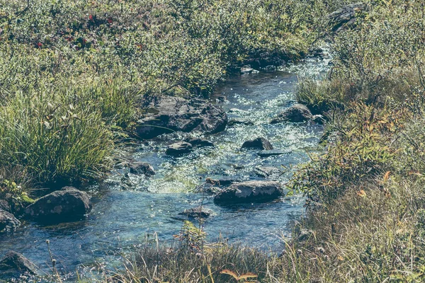 Fiume Montagna Veloce Rapido Flusso Nella Foresta Verde — Foto Stock