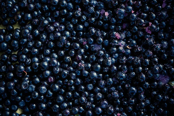 Blaubeeren Als Hintergrund Waldbeeren Gesunde Ernährung Bioprodukte Für Saft — Stockfoto