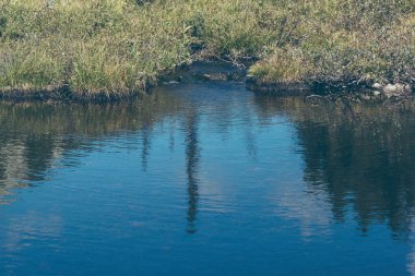 Güzel dağ gölü kayalık yaz gün