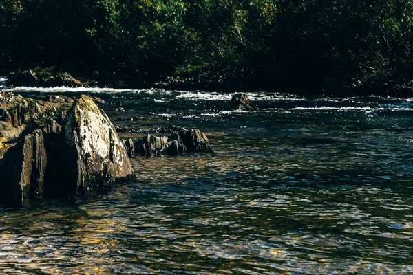 Hızlı Dağ Nehir Yeşil Ormanın Içinde Hızlı Akışı — Stok fotoğraf