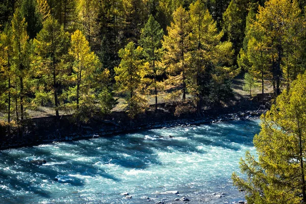 Синій Річка Осінньому Лісі Сонячний День Осінній День Поїздки Горах — стокове фото