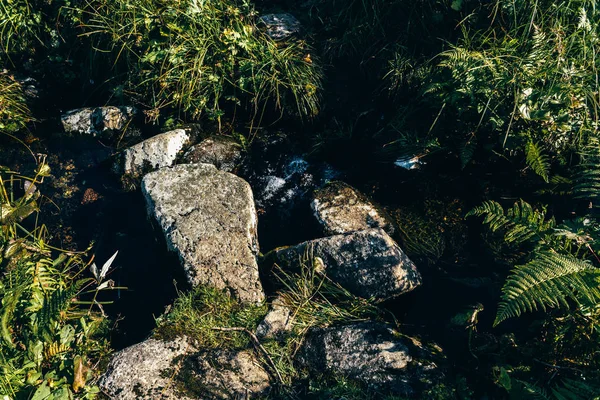 Dağ Deresi Bir Yaz Gününde Kayalarda Bir Bahar — Stok fotoğraf