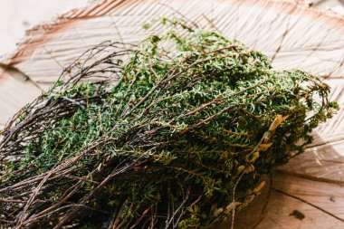 Ardıç stump, ağaç kesme bölüm üzerinde Şubesi