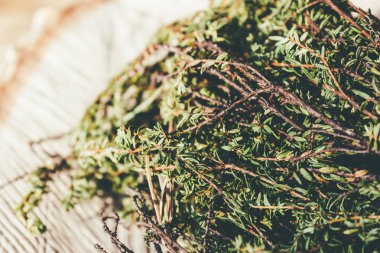 Ardıç stump, ağaç kesme bölüm üzerinde Şubesi