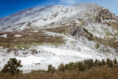 Mountain view bir çam ormanı ile Vadisi'nden. Dağlarda seyahat.