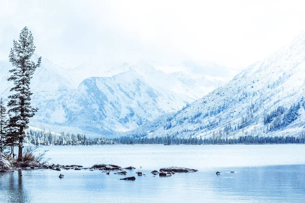 Lago Montanha Inverno Com Pinheiros Cobertos Neve Costa Tempo Gelado — Fotografia de Stock