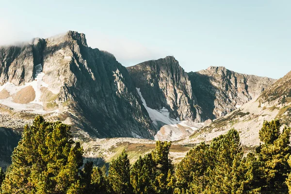 Blick Auf Die Berge Aus Dem Tal Mit Einem Kiefernwald — Stockfoto