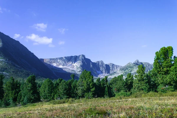 Mountain view from the valley with a pine forest. Travelling in the mountains.