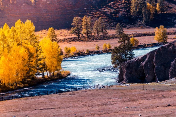 Вид Широку Гірську Річку Гирло Річки Подорож Річці Восени — стокове фото