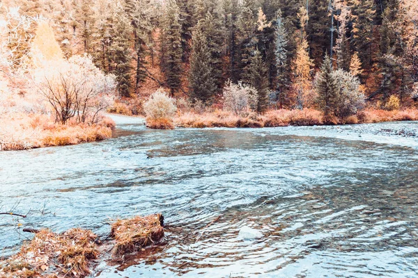 Вид Широку Гірську Річку Гирло Річки Подорож Річці Восени — стокове фото