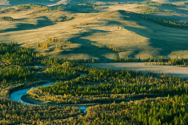 Színes Könyök Erdő Völgyben Folyó Gyönyörű Kilátással Altaj — Stock Fotó