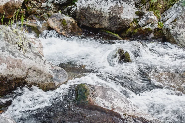 Schneller Gebirgsfluss Rasantem Fluss Grünen Wald — Stockfoto