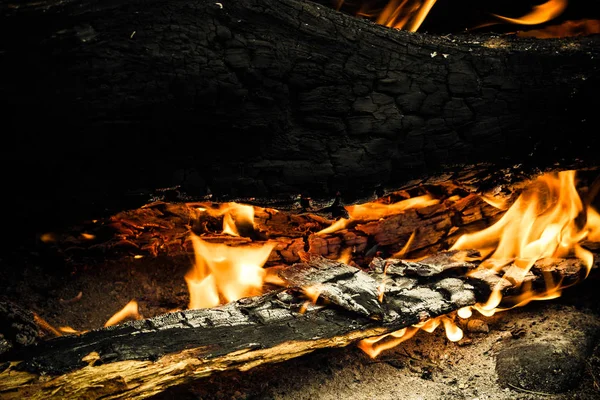 Ormanda Büyük Orman Yangını Yakar — Stok fotoğraf