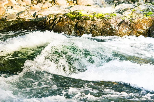 Schneller Gebirgsfluss Rasantem Fluss Grünen Wald — Stockfoto