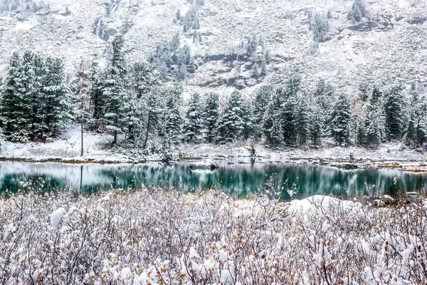 Бірюзова Поверхня Гірського Озера Зимове Дивовижне Лісове Озеро Снігові Скелі — стокове фото