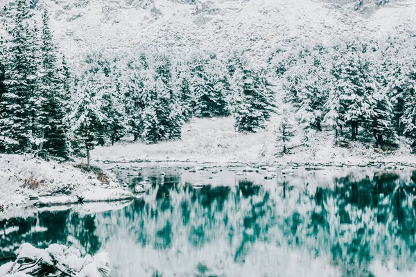 Türkisfarbene Oberfläche Des Bergsees Winter Märchenhaften Waldsee Schnee Felsen Und — Stockfoto