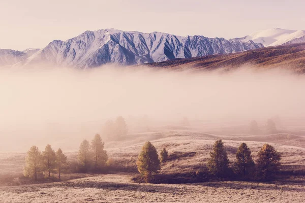 Nebel Bergtal Nebelschwaden Unter Dem Rosafarbenen Himmel Frühen Morgen Pastellfarben — Stockfoto