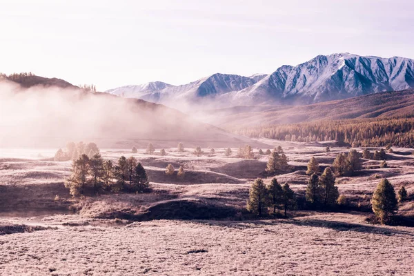 Fog in the mountain valley. Clouds of fog under the pink sky early in the morning, pastel colors. Sunrise in the valley.