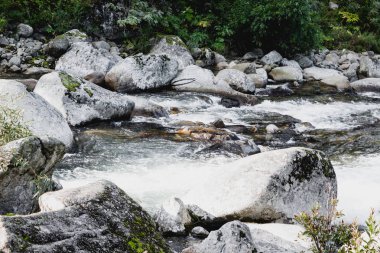 Hızlı dağ nehir yeşil ormanın içinde hızlı akışı