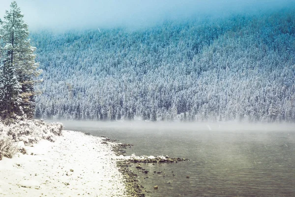Orilla Cubierta Nieve Lago Montaña Vista Las Rocas Bosque Pinos — Foto de Stock