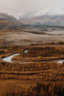 Nehrin bir dağ vadi şerit eğrileri. Yukarıdan Vadisi'nin güzel manzara.