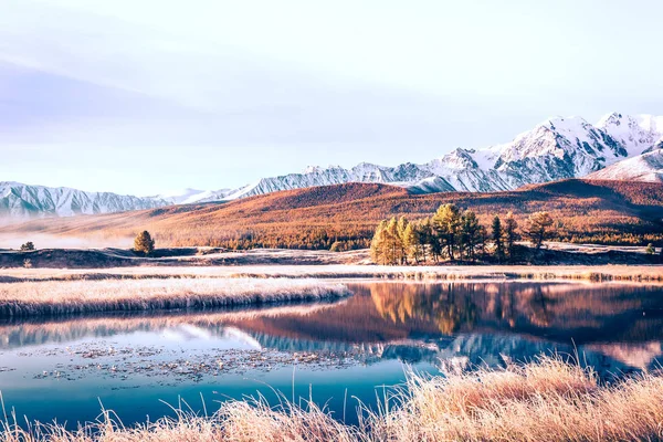 Superficie Del Espejo Del Lago Valle Montaña Los Picos Los — Foto de Stock