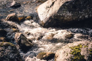 Hızlı dağ nehir dağ Vadisi kayalarda