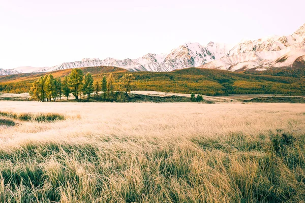 Vue Sur Les Sommets Enneigés Forêt Dans Une Vallée Montagne — Photo