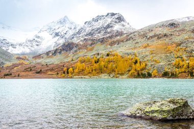Güneşli bir dağ gölü. Sonbahar hava dağlarda. Kayalar doruklarına. Bir dağ vadi yürüyüş turu.