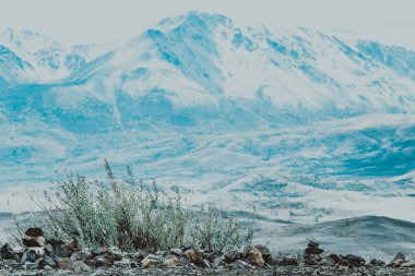 Dağ karla kaplı tepeler ile güzel bir bakış. Dağ vadiler ve kayalıklarla peyzaj.