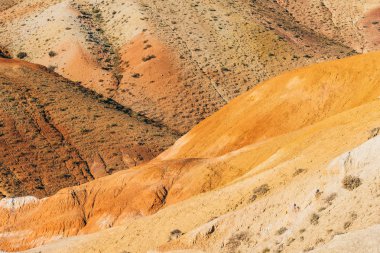 Kırmızı tepeler ve dağlar sonbaharda. Renkli taş, Altay dağlarında bir yolculuk.