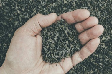 Elinde yeşil kuru çay